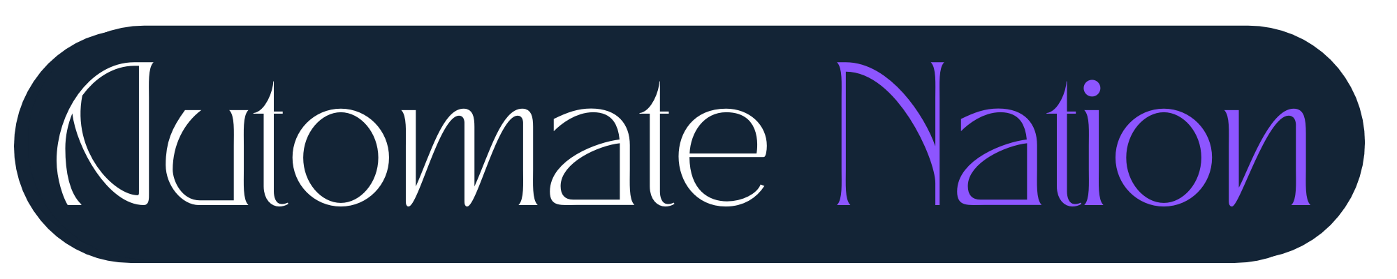 Automate Nation / Abhipsa Routray